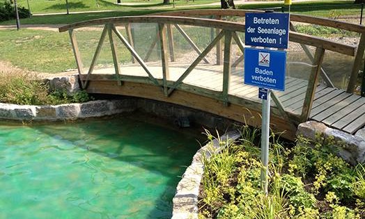 Eine Abkühlung ist im Sommer immer willkommen. Für die Seeanlage im Stadtpark gilt allerdings Badeverbot. Foto: Steffen Heumann