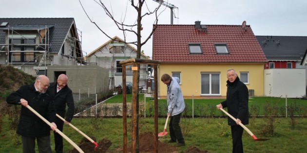 Pflanzen mit dem Herbst-Flammen-Ahorn einen Baum für die Zukunft: Gerhard Kirch (Kirch Wohnungsbau GmbH & Co. KG), Thomas Mokros (Town & Country), Dirk Nishen (Projektbüro „netzwerk natur“) und Bürgermeister Erich Maier (v.l.). Foto: Benjamin Kloos