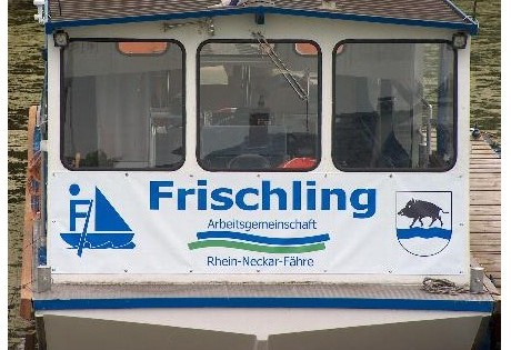 Auch 2014 wird der Frischling wieder auf dem Altrhein und Rhein fahren. Foto: oh
