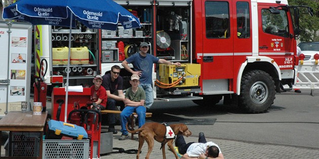 Das Aufspüren einer vermissten Person demonstrierte die Rettungshundestaffel des DRK Bensheim in einer interessanten Schauübung am Tag der offenen Tür der Feuerwehr Riedrode. Foto: Sigrid Samson