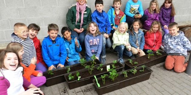 Die Kinder der 2. Klasse der Seehofschule freuen sich bereits darauf, jeden Morgen frische Erdbeeren zum Frühstück zu bekommen. Foto: oh