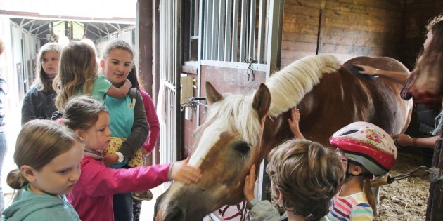 Die Streichelrunde am Vormittag gefiel Pferd und Kindern. Foto: Hannelore Nowacki