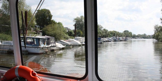 So schön ist der Altrhein bei Lampertheim, wenn er genügend Wasser führt und kein Algenteppich auf der Oberfläche schwimmt – ein Paradies für Erholungssuchende, Wassersportler, Freizeitpaddler und Motorbootbesitzer. Wie gelingt die Rettung? Archivfoto: Hannelore Nowacki