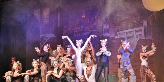 „Der Katzenball“ der Tanzschule „Die Tanzebene“ war eine mitreißende Tanzvorstellung nach Vorlage des Erfolgsmusicals „Cats“, die das Publikum in der Hans-Pfeiffer-Halle als großes, mitreißendes Erlebnis mit viel Applaus belohnte. Foto: Hannelore Nowacki