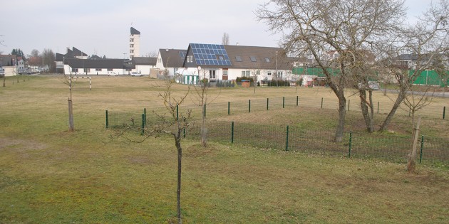 Hier könnten Wohnungen für 240 Flüchtlinge entstehen: Auf dem städtischen Gelände in der Florianstraße in Lampertheim. Foto: Benjamin Kloos