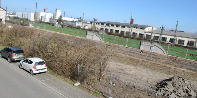 Auf dem Bahngelände entlang der Eugen-Schreiber-Straße wurde ganze Arbeit geleistet: Neben Abrissarbeiten wurden auch die Hecken in starkem Maße zurückgeschnitten oder sogar entfernt. Foto: Benjamin Kloos