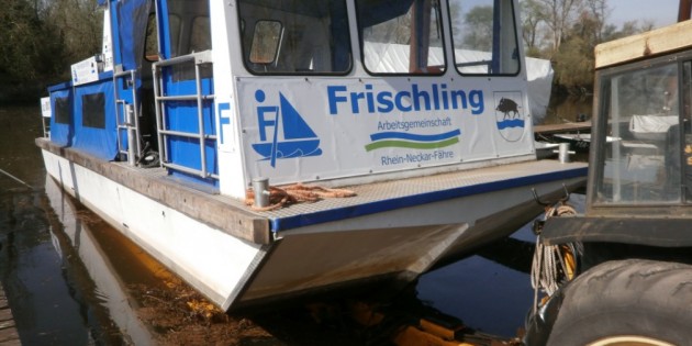 Bereit für die Saison: Der „Frischling". Foto: Werner Reuters