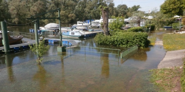 Wo sonst Spaziergänger zu den Bootsstegen oder den Restaurants am Altrhein unterwegs sind, steht heute knietief Wasser. Foto: oh
