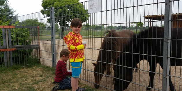 Annemarie und Paul besuchten gerne den Streichelzoo im Park und fütterten die Tiere. Foto: Sigrid Samson