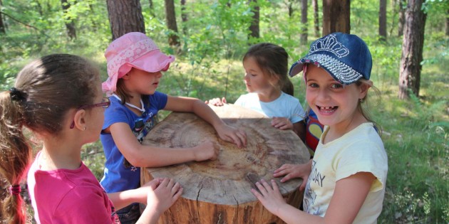 Warum hat ein Baumstamm Ringe? Für diese und viele andere Fragen finden die Kinder die Antwort im Lampertheimer Wald. Foto: Hannelore Nowacki