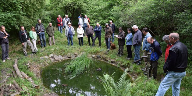 Welche Vögel leben und brüten im Bürstädter Wald? Antworten auf diese und weitere Fahren lieferte die Waldbegehung der Vogelfreunde Bürstadt. Foto: oh