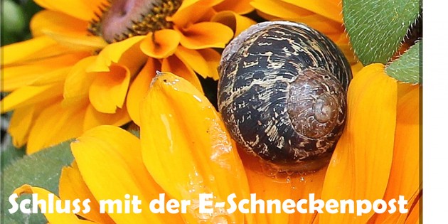 Foto: Hannelore Nowacki