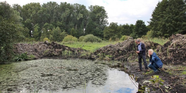 Das Projekt Teich ist nach dem Ausbaggern auf gutem Wege eine Oase für viele Tiere zu werden. Dann macht auch das Keschern wieder Spaß. Foto: Hannelore Nowacki
