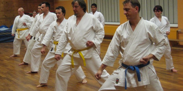 Fit mit Budo Motion