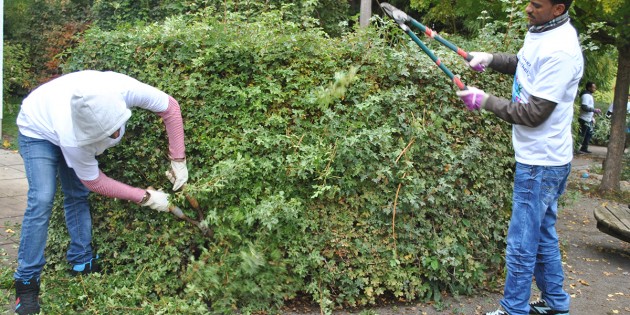 Zeigen Engagement für die Gesellschaft: Die Lampertheimer Flüchtlinge, hier bei Grünarbeiten in der Kita Schwalbennest. Foto: Benjamin Koloss