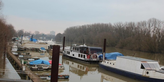 Der Altrhein ist auch Heimat vieler Boote und Yachten. Archivfoto: Hannelore Nowacki