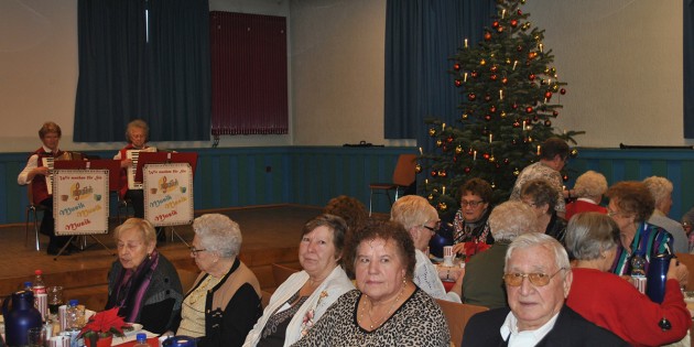 Weihnachtliche Atmosphäre: Gemeinsam stimmten sich die Mitglieder der AWO Lampertheim bei einem adventlichen Programm im Schatten des wunderbar geschmückten Weihnachtsbaums auf das Fest der Liebe ein. Foto: Benjamin Kloos