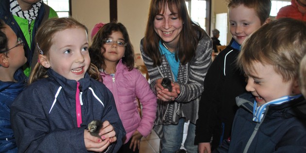 Stolz nahmen die Kindergartenkinder die Küken in die Hand – sehr zur Freude von Brutmeisterin Christina Szekely (3.v.r.). Foto: Benjamin Kloos