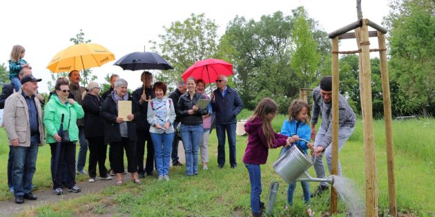 Bürgermeisterin Barbara Schader überreichte den Baumspendern eine Urkunde. Die jungen Bäume erhielten Wasser aus der Gießkanne, während die grauen Wolken nur ein paar Tropfen spendeten. Foto: Hannelore Nowacki