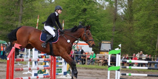 Teresa Friedrich vom RSG Michelshof-Michelstadt erreichte auf Navarro 34 mit der Startnummer 397 mit 32,91 Sekunden und vier Fehlern Platz 3. Foto: Hannelore Nowacki