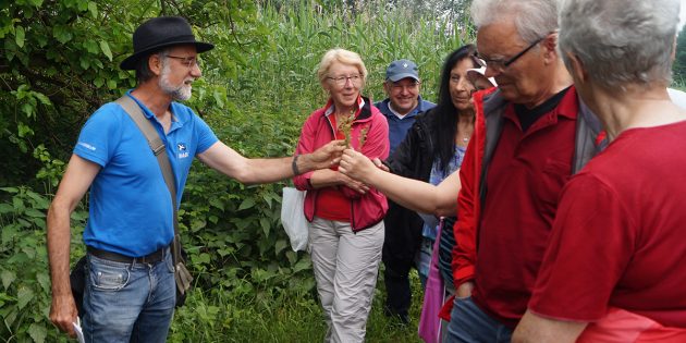 Klaus Feldhinkel vom NABU Lampertheim erklärte den Teilnehmern die vielfältigen Verwendungsmöglichkeiten der Pflanzen, die am Wegrand im Naturschutzgebiet aufgefunden wurden. Foto: Sigrid Samson