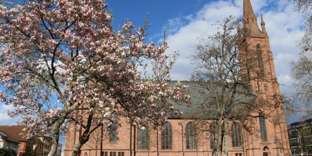 Themen-Gottesdienste und Konzerte der Lukasgemeinde zum Jubiläum „500 Jahre Reformation“ finden in der Domkirche statt. Archiv: Hannelore Nowacki