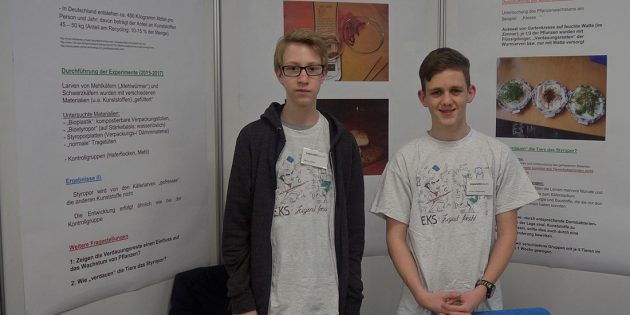 Die beiden 16-jährigen Schüler Ruben Wiedemann und Marius Weber (v.r.) der EKS erforschten den Problemabfall Kunststoff und untersuchten die Zersetzung von Styropor durch Mehlkäferlarven. Foto: Susan Eßlinger
