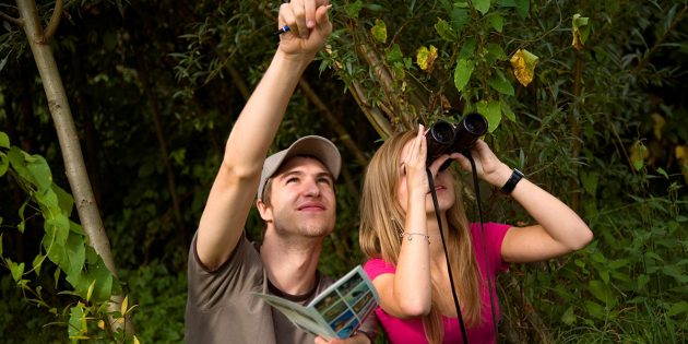 In Sachen Natur immer auf dem neuesten Stand – dank dem Newsletter des NABU Lampertheim. Foto: NABU/ Paulo dos Santos