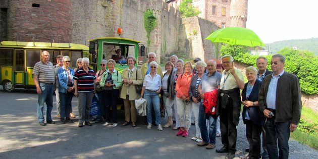Eine der beiden Bibliser Gruppen mit ihrem Städteführer und der Geckobahn im Vorhof der Burg Wertheim. Foto: oh