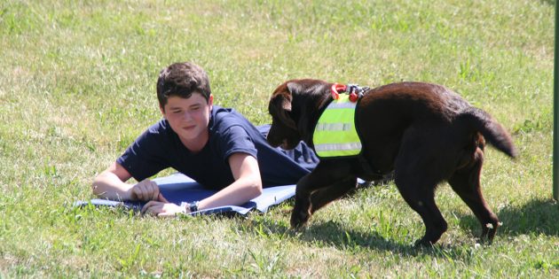 Am Tag der offenen Tür der Feuerwehr Biblis gab es für die Besucher interessante Informationen zur Rettungshundestaffel in Bensheim, die ihre Arbeit teilweise mit Unterstützung aus dem Publikum vorstellte. Foto: Eva Wiegand
