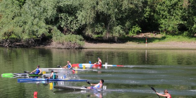 Die zweitägige Regatta auf dem Altrhein stellte Kanu-Club und Wassersportverein Lampertheim mit den erzielten Erfolgen ihrer Teams sehr zufrieden. Bei schönstem Sonnenwetter gingen einige hundert Kanuten aus mehreren Bundesländern an den Start. Foto: Hannelore Nowacki