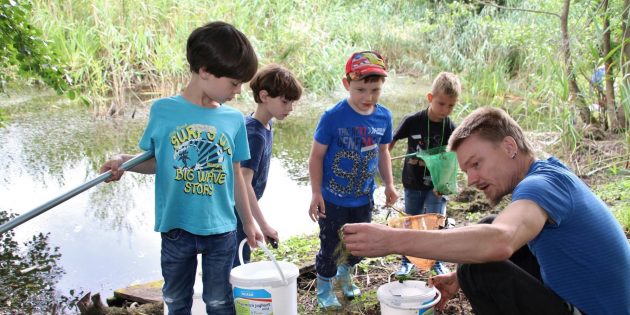 Wo Wasserkäfer und Mondjungfern zu Hause sind