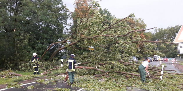 Die Feuerwehr Wattenheim zerlegte den umgestürzten Baum und sorgte so bald wieder für freie Fahrt. Foto: oh