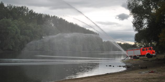Mit großem Einsatz versuchen THW und Feuerwehr, das Fischsterben im Altrhein einzudämmen. Foto: Benjamin Kloos