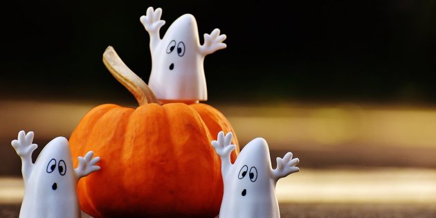 An Halloween ziehen wieder gute Geister durch die Straßen – aber auch für diese gelten Regeln und Gesetze. Foto: pixabay.de