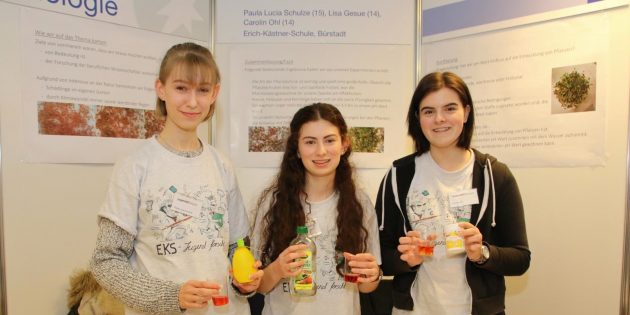 Regionalwettbewerb Bergstraße „Jugend forscht“ mit 20 Projekten