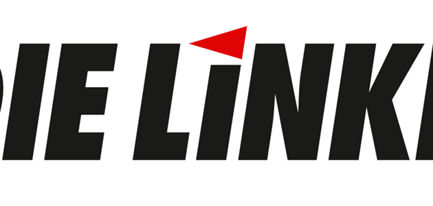 Robin Vinko neuer Vorsitzender von DIE LINKE 