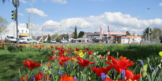 Foto: Stadt Lampertheim