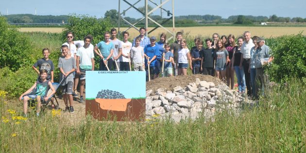 Schüler des LGL gestalteten in diesem Jahr unter Mithilfe der Technischen Betriebsdienste und unter Anleitung von Alfred Laut einen neuen Lebensraum für Eidechsen – die Biodiversität spielt auch in den kommenden Jahren in Lampertheim eine wichtige Rolle. Archivfoto: Benjamin Kloos