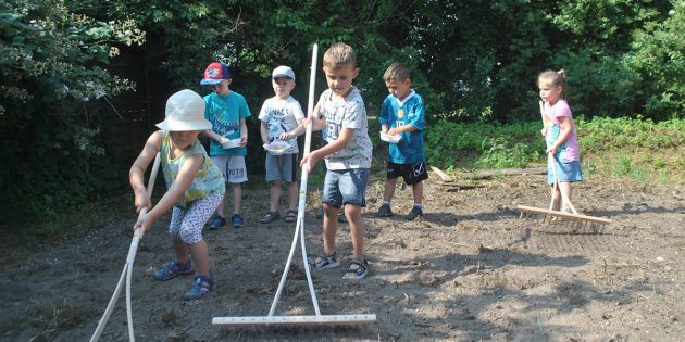 Schon bald summt und brummt es im Blütenmeer