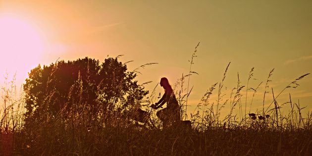 Mit dem Fahrrad in den Sonnenuntergang – auf der Familien-Erlebnisradroute im Ried ein wahrer Genuss. Foto: pixabay.com Foto: pixabay.com