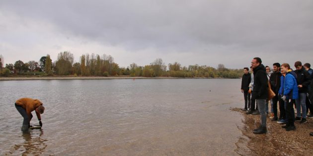 Die lange Dürre bringt an den Tag, was der Rhein sonst für sich behält – vermutete Reste der Kriegsbrücke. Foto: Hannelore Nowacki