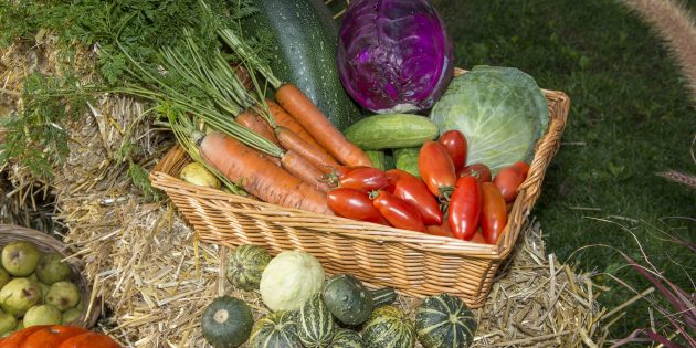 „Landwirten gebührt großer Dank für ihre Arbeit”