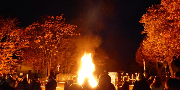 In Hofheim leuchtete am Donnerstag das Martinsfeuer. Foto: Franziska Hartmann