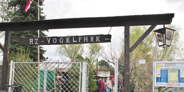 Musik im (Vogel)Park