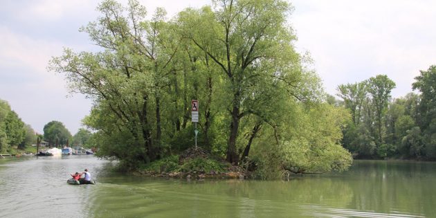 BUZ: Der Lampertheimer Altrhein – Lebensader für den Wassersport, zur Naherholung und Natur. Archivfoto: Hannelore Nowacki