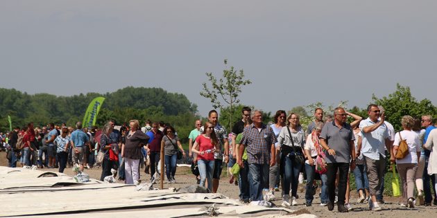 Spargel, Sonne, Wein, Kultur und Genuss
