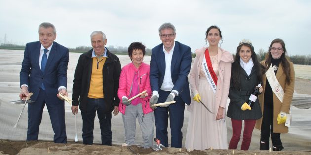 Endlich ist das „weiße Gold” da: Spargelkönigin Christin I. (3.v.r.) stach am Montag im Beisein von Landrat Christian Engelhardt (4.v.r.), Lampertheims Bürgermeister Gottfried Störmer (l.), Sonnenbotschafterin Alicia I. (r.), Bürgermeisterin Barbara Schader (3.v.l.) und der Gebietsweinkönigin für de Hessische Bergstraße, Carolin Hillenbrand (2.v.r.) unter Aufsicht von Karl-Heinz Schmidt (2.v.l..) die ersten Stangen des königlichen Gemüses. Foto: Benjamin Kloos