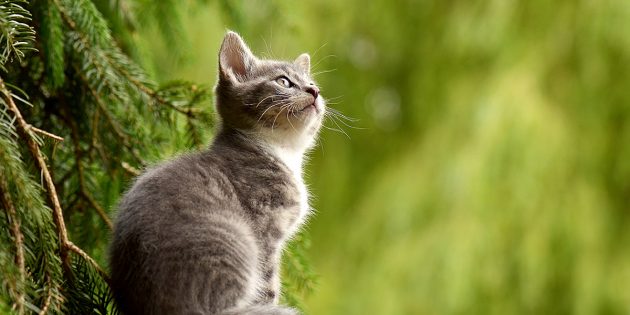 Kein neuer Sachstand bei der Hallenbadsanierung / Hilfe zur Erinnerung an Gefallene der Weltkriege erbeten
