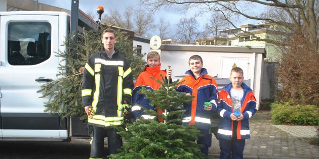 Keine Weihnachtsbaumabholung durch Lampertheimer Feuerwehren
